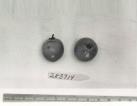 Click for 1 image(s) for this accession. FRUIT